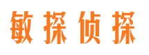 下城私家调查公司